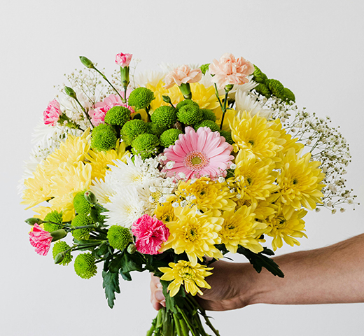 Product Description Image